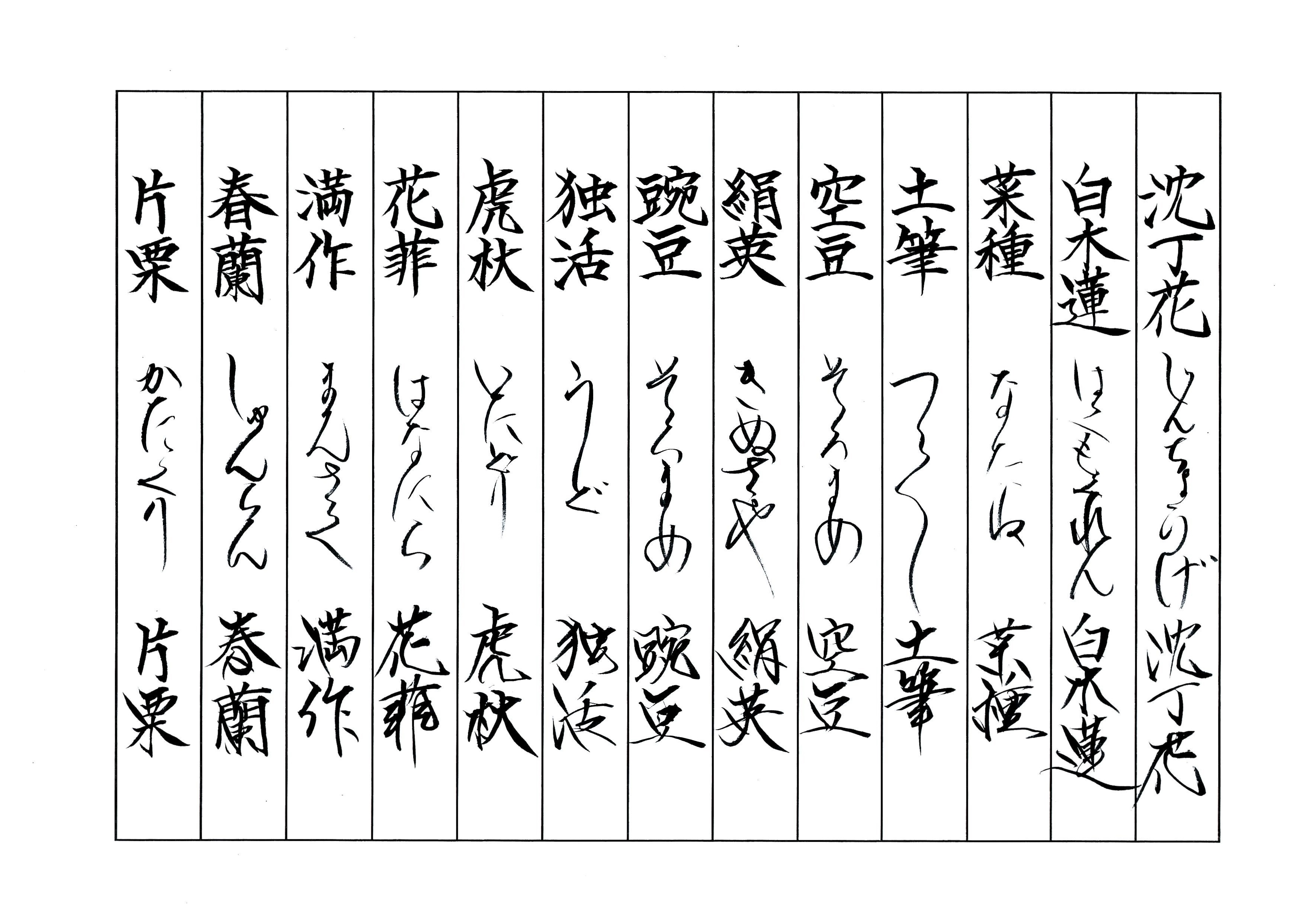 美文字作品